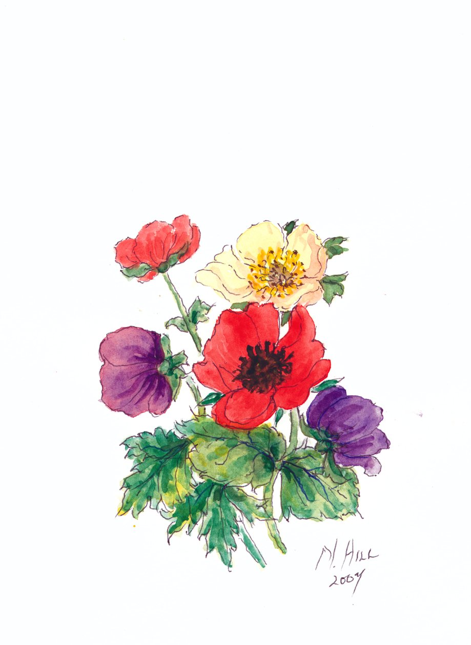 Anemoner, 2007 (wc på papir) av Nell Hill