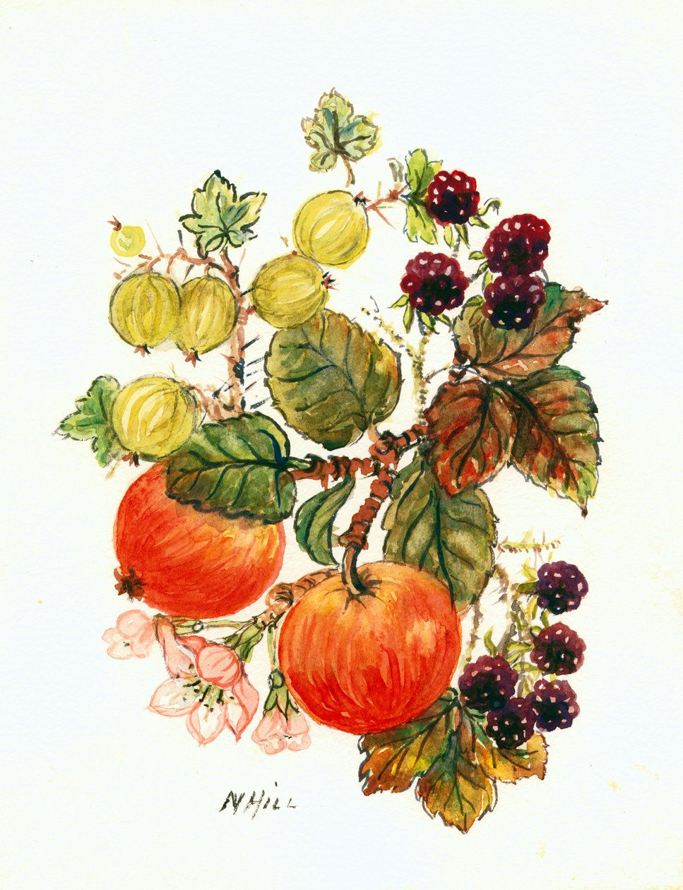 Brambles, epler og druer (wc på papir) av Nell Hill