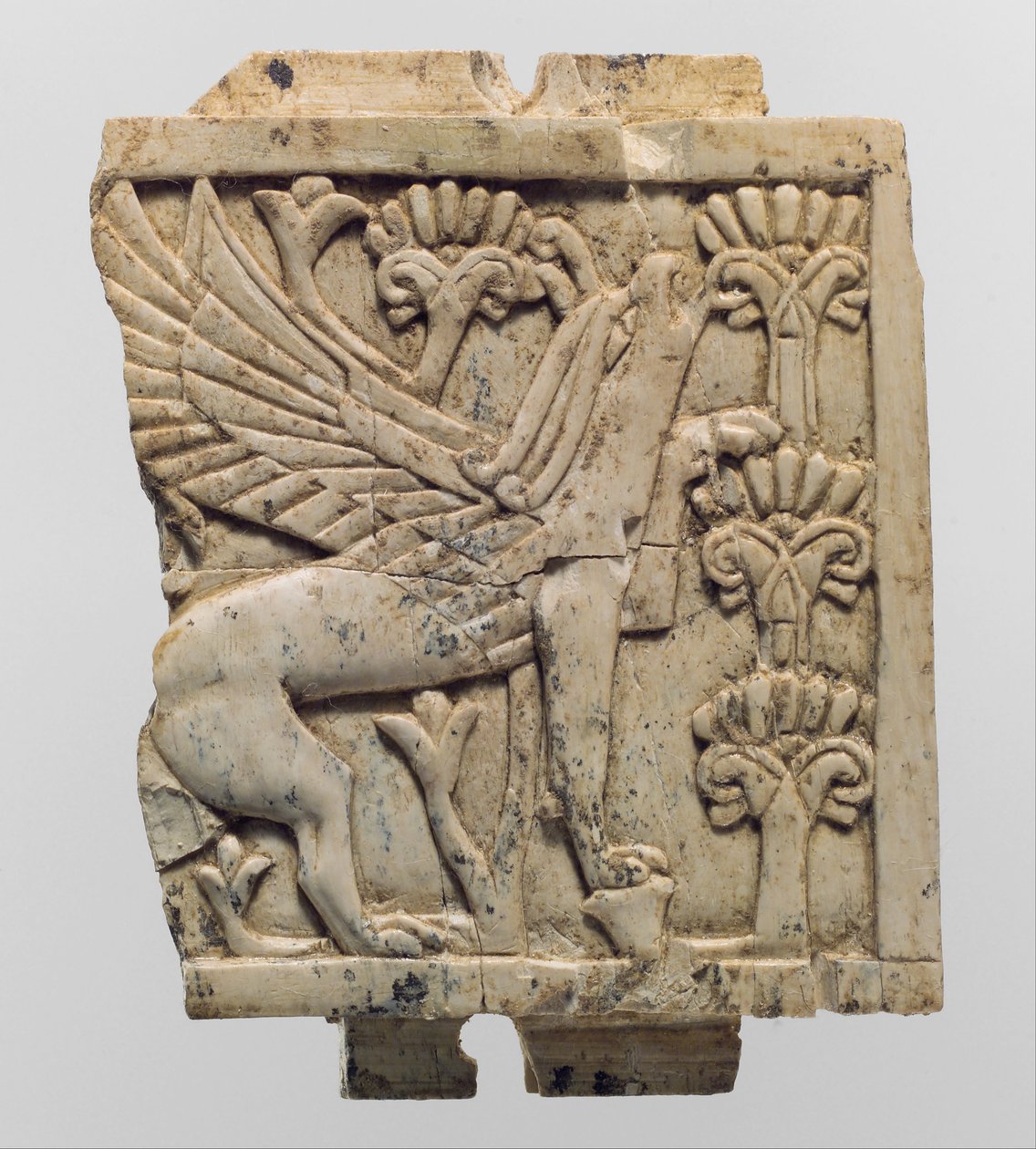 Møbelplakett skåret i relieff med en griffin i et blomsterlandskap, ca. 9.–8. århundre f.Kr. (elfenbein) av Neo Assyrian
