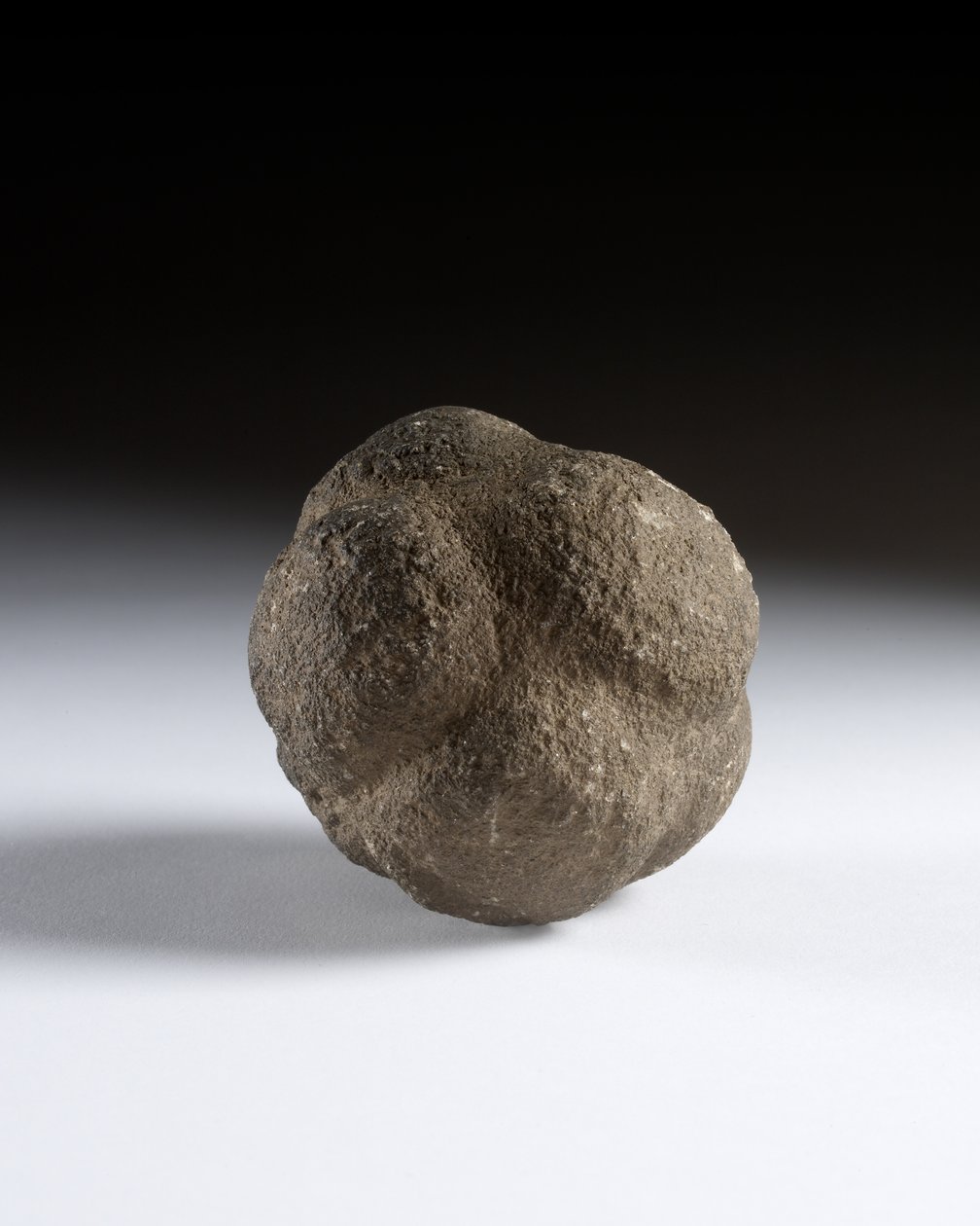 Utskåret ball, sen neolitikum, Skottland, ca. 3750-2000 f.Kr. av Neolithic