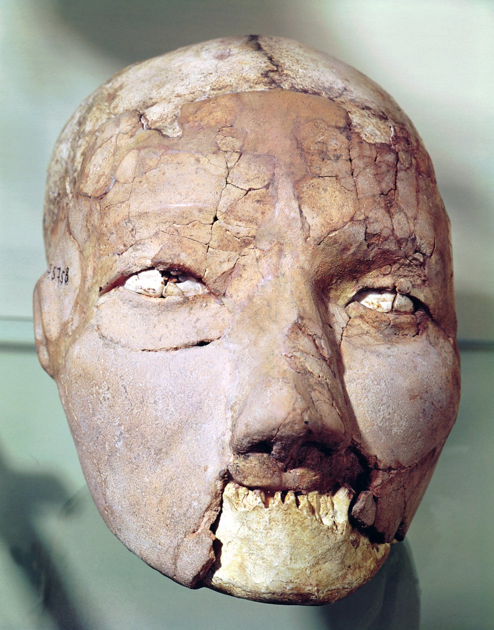 Hodeskalle, fra Jeriko, 7000-6000 f.Kr. (gips, bein og skjell) av Neolithic