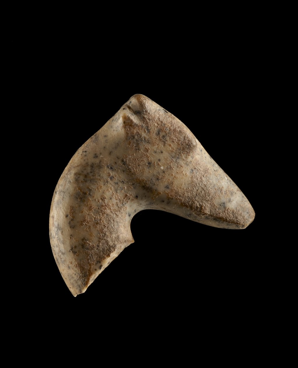 Hodet til en kvinnelig persisk gaselle, 6000-5500 f.Kr. (granitt) av Neolithic