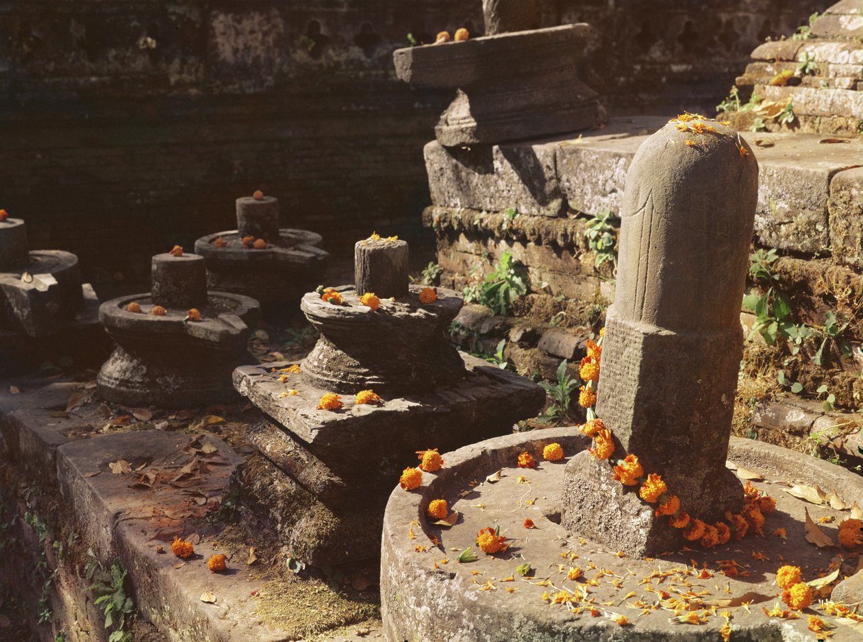 Shiva lingams ved Pashupatinath-tempelet av Nepalese School