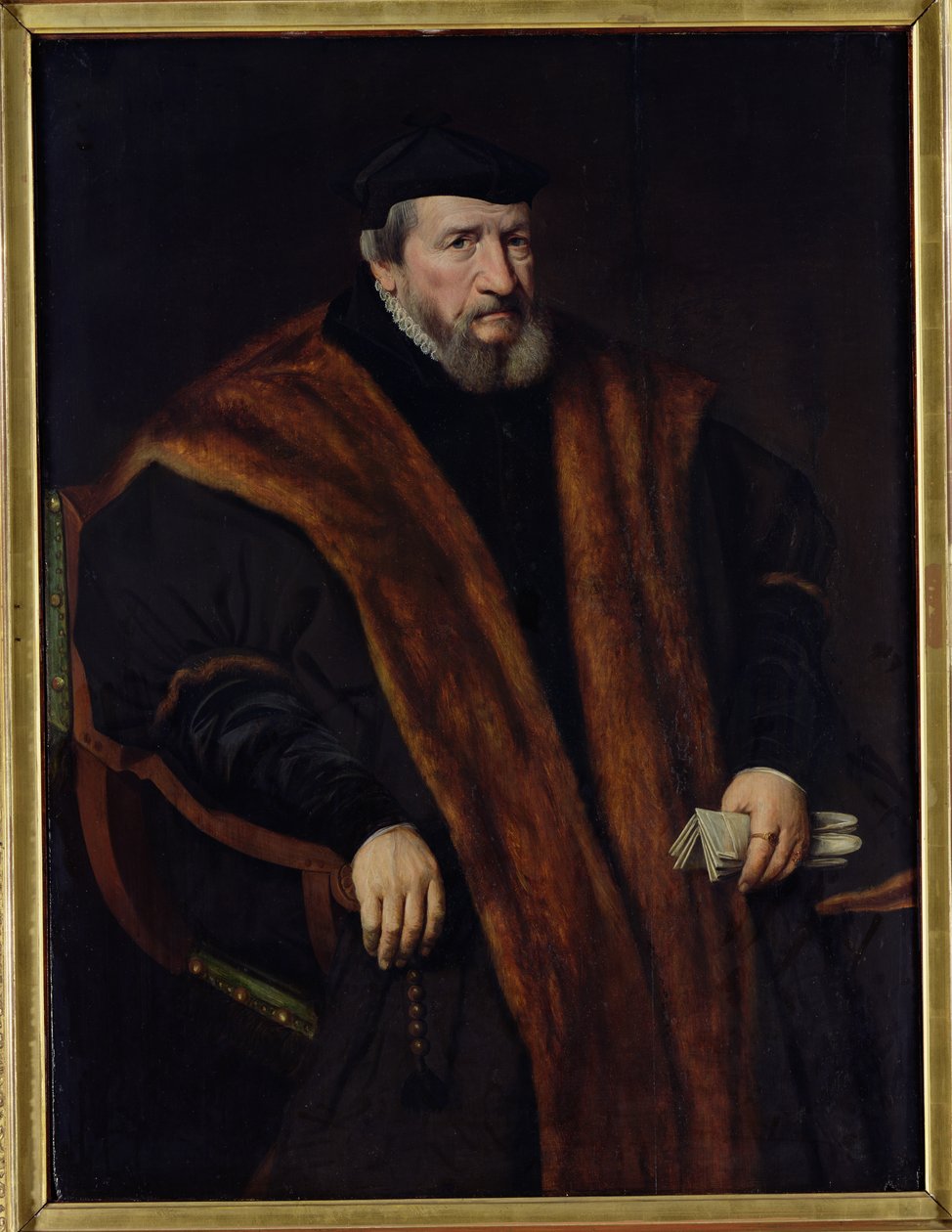 Portrett av en mann, 1564 av Netherlandish School