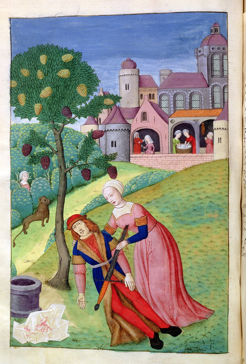 Ms 324 f.44 v. Alcithoe, Pyramus og Thisbe, Mulberry tree endrer farge, fra Metamorphoses av Ovid, 1479 av Netherlandish School