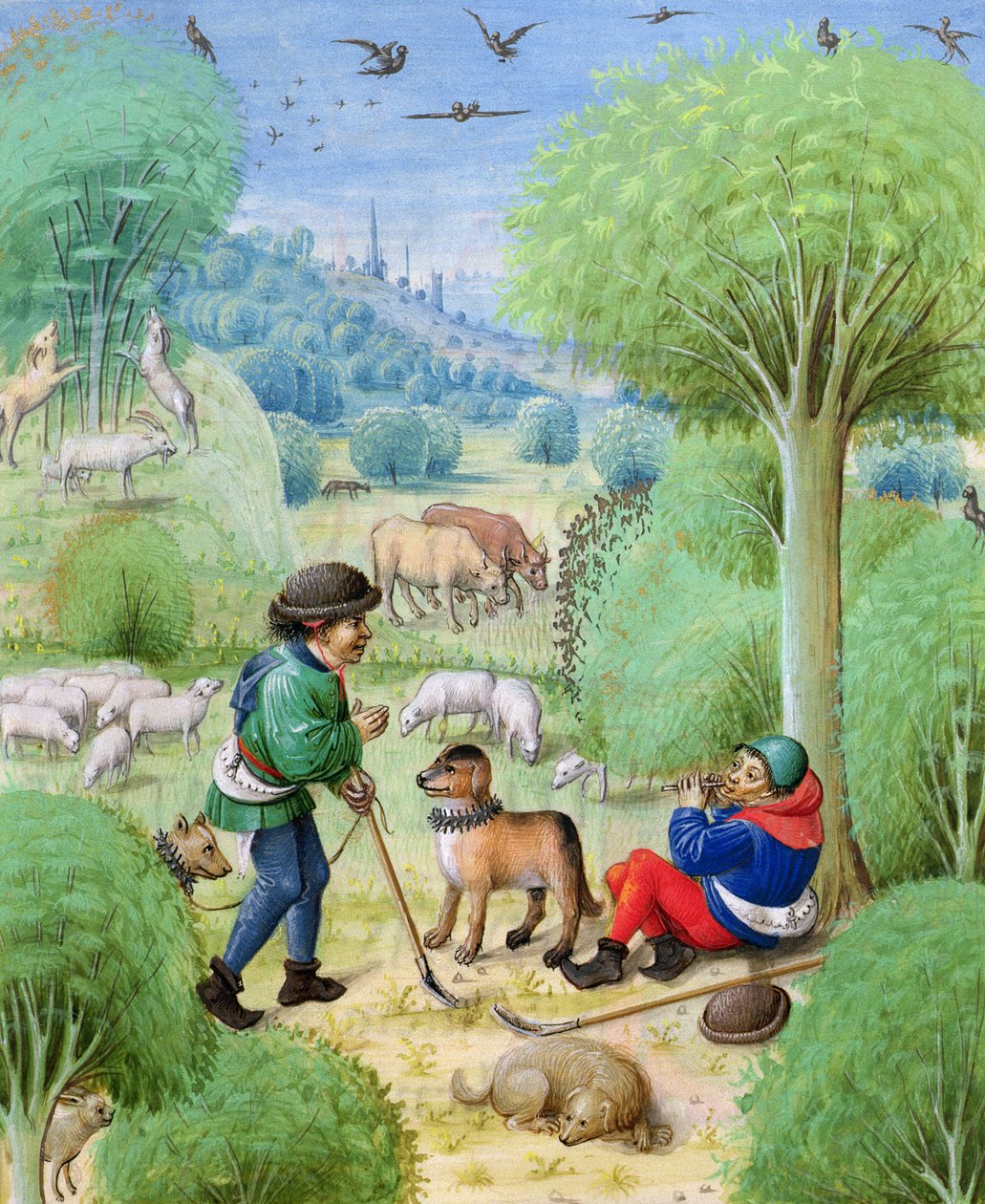 Ms 324 f.9 r. Pastoral scene, fra Eclogues av Virgil, 1472-73 av Netherlandish School
