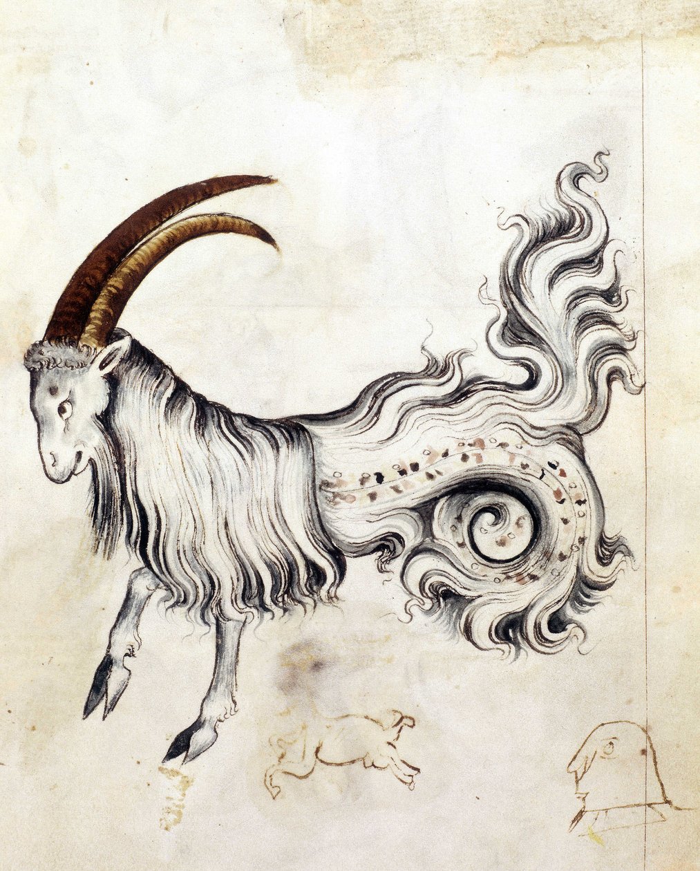 Sloane 3983, f.3v Stjernetegnet Steinbukken (vellum) av Netherlandish School