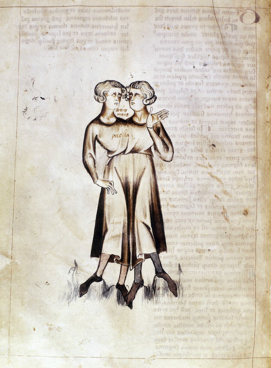Sloane 3983 f.8v Tegning av Gemini, fra en oversettelse av en persisk astrologisk avhandling av Jafar ibn Muhammad (vellum) av Netherlandish School
