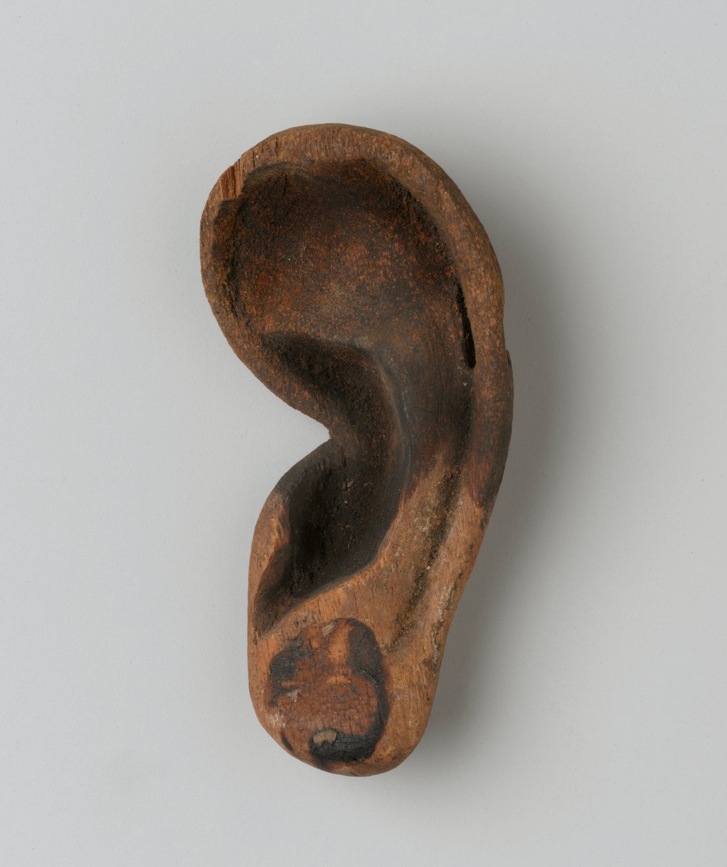 Øre (tre) av New Kingdom Egyptian