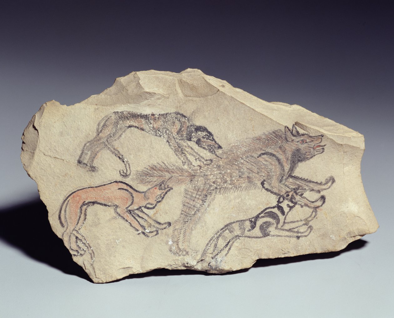 Ostracon som viser en hund som jager en hyene (kalkstein) av New Kingdom Egyptian