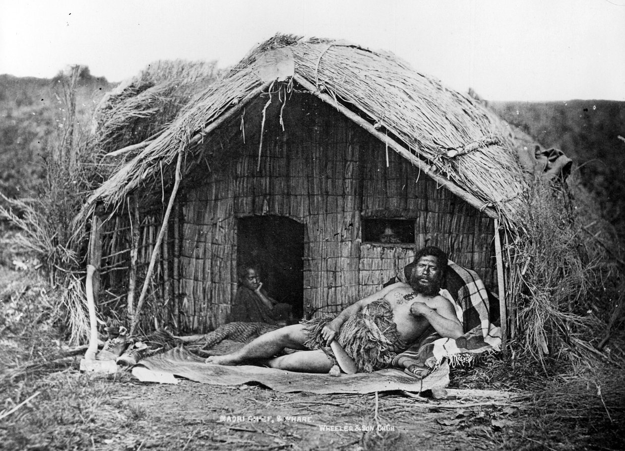 Maori-høvding og hus, ca. 1863-80 av New Zealand Photographer