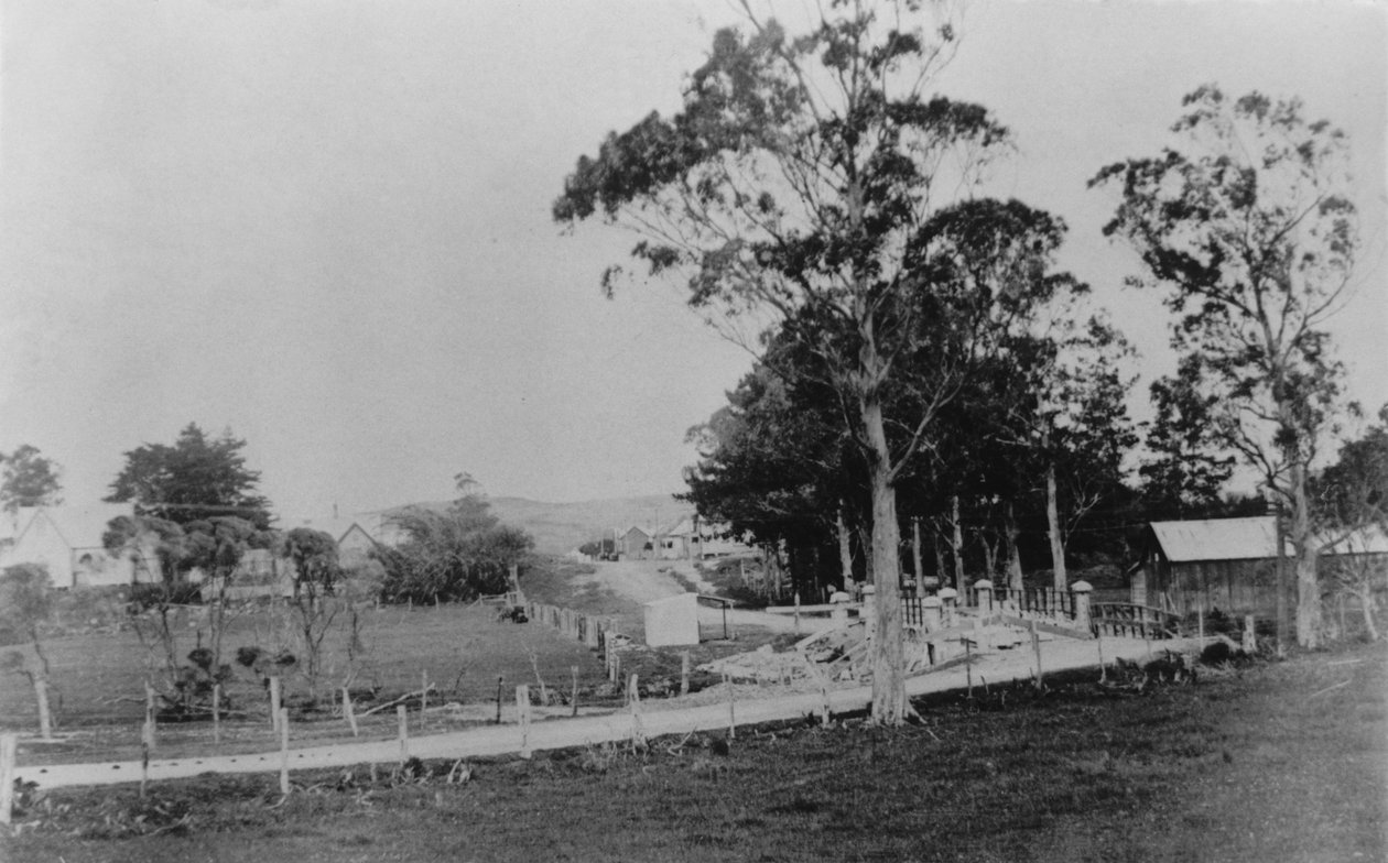 Bro over Waihoihoi-elven mot Waipu Township, sent på 1800-tallet av New Zealander Photographer