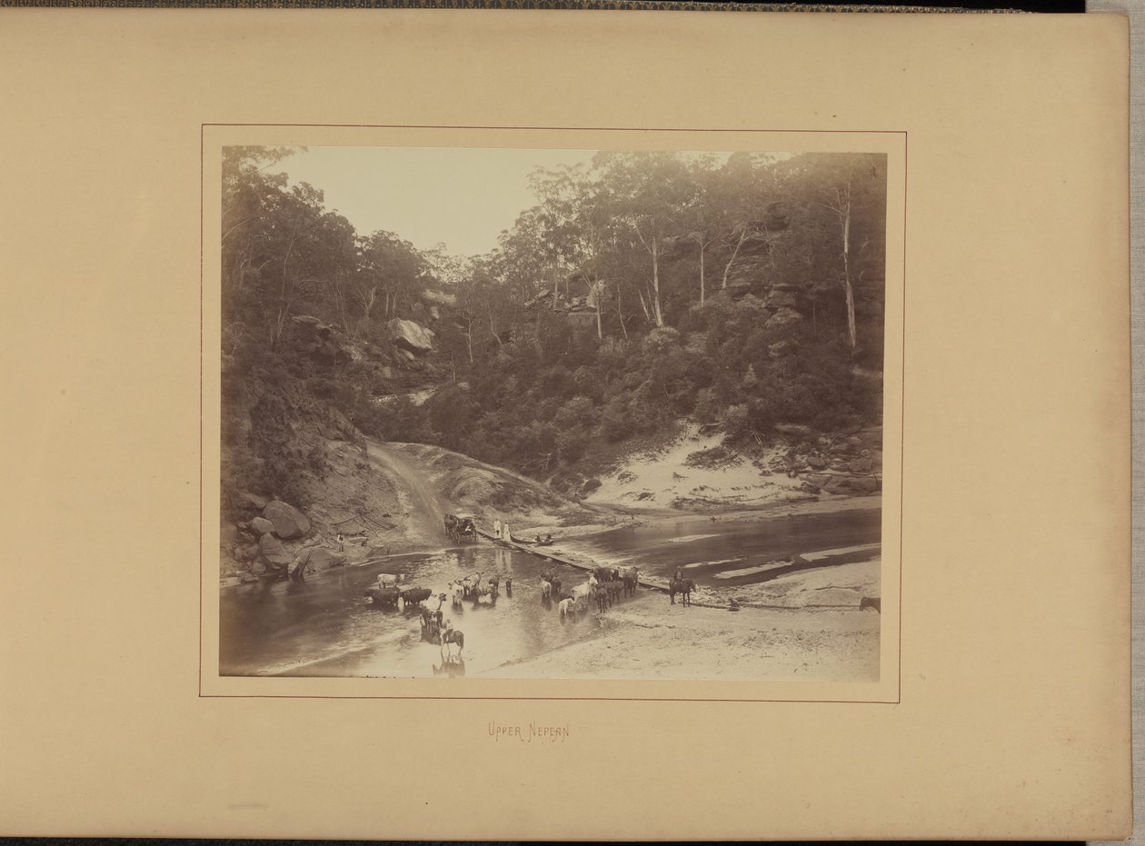  av New South Wales Government Printing Office