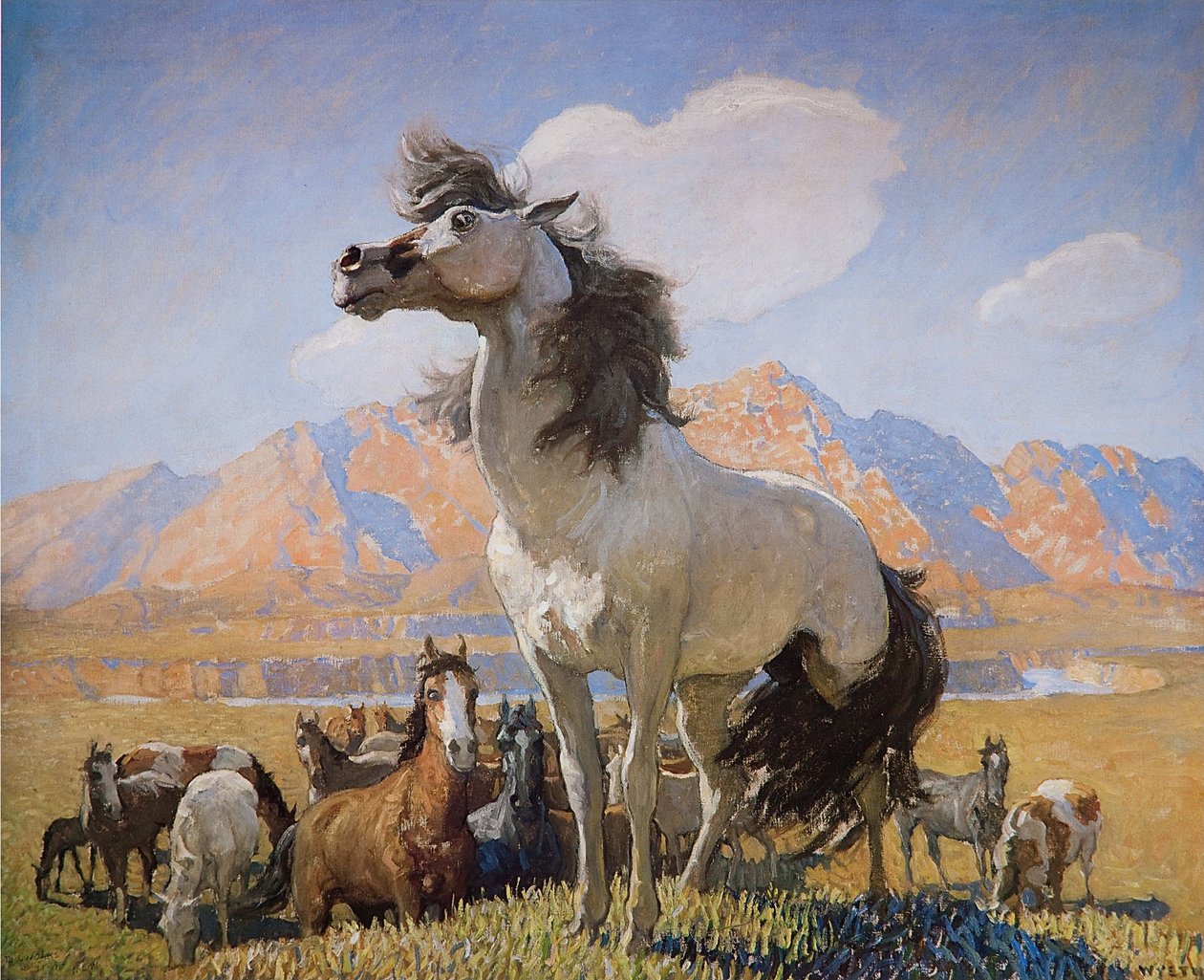 Smokey Facen av Newell Convers Wyeth