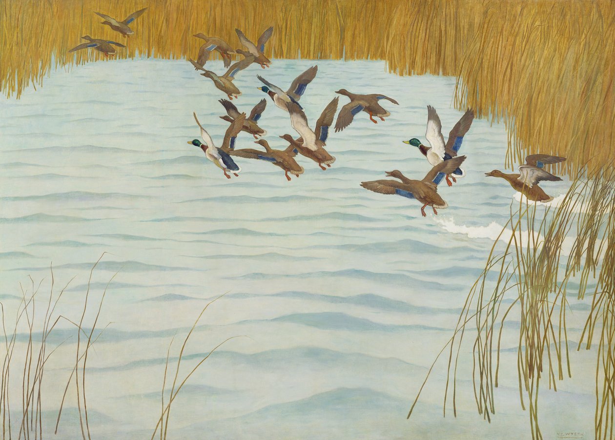 Stokkander om høsten, 1941 av Newell Convers Wyeth