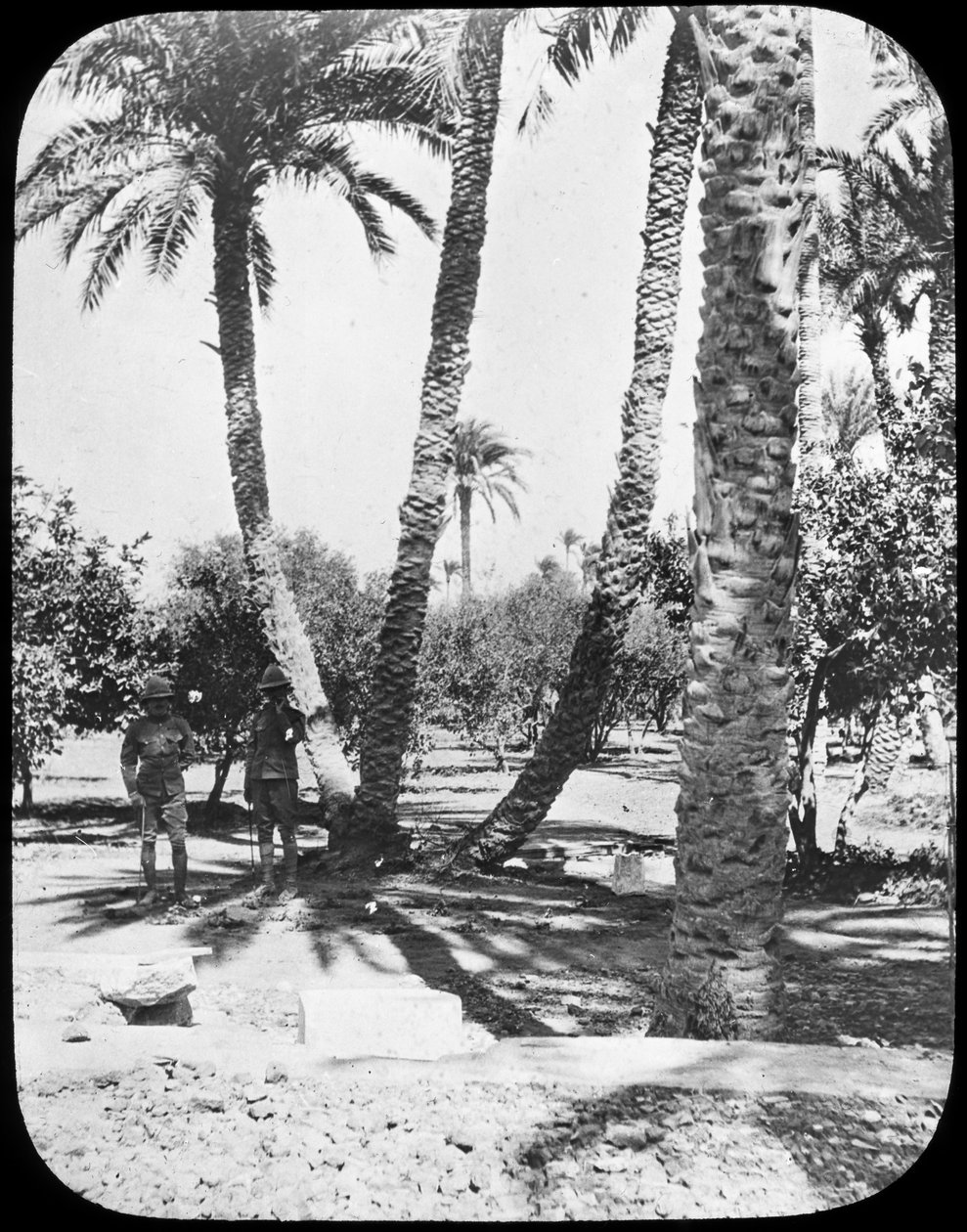 General Gordons Garden, Khartoum, Sudan, c1890 av Newton and Co