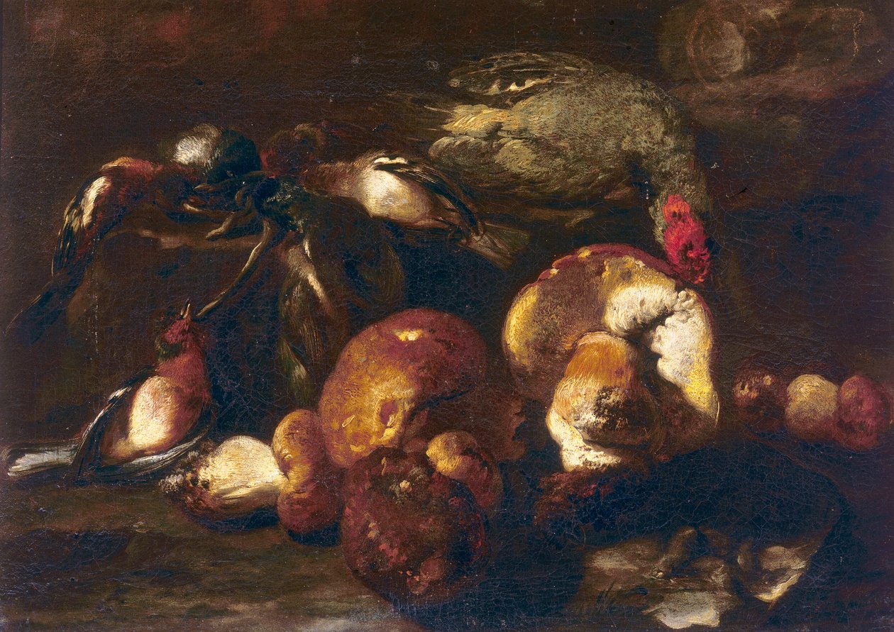 Fugler og sopp av Nicasius 1620-78 Bernaerts