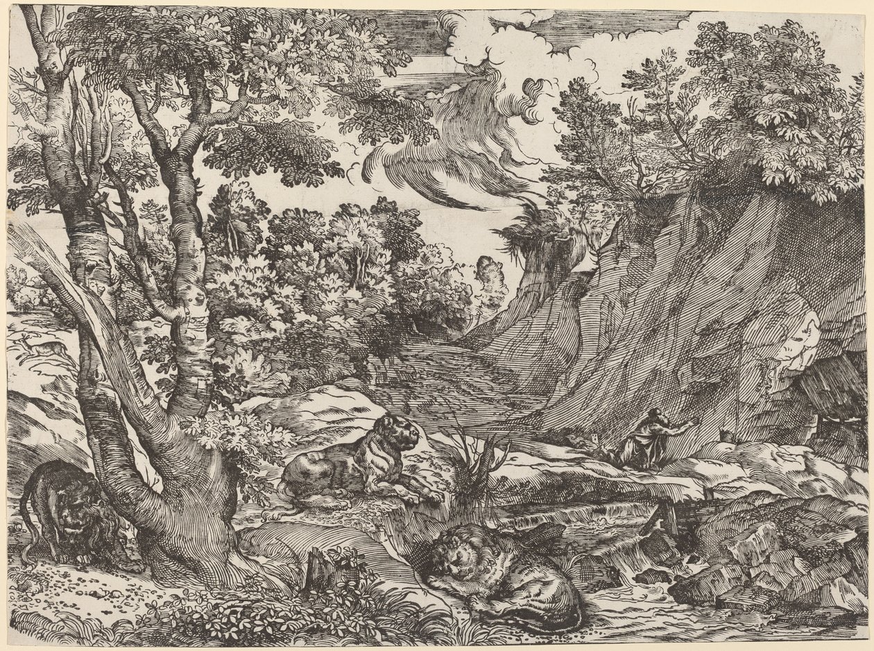 Saint Hieronymus i villmarken av Niccolò Boldrini after Titian