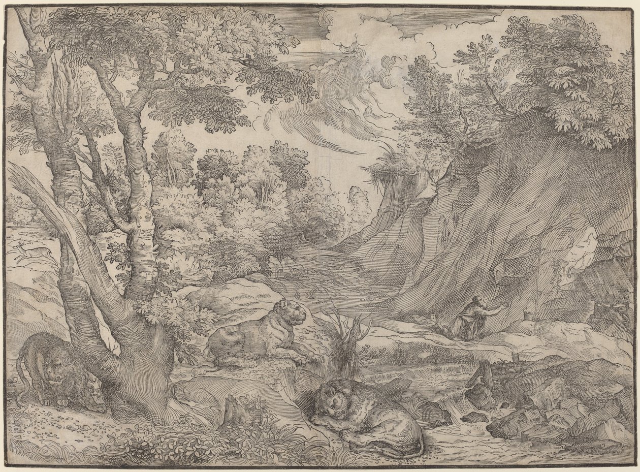 Saint Hieronymus i villmarken av Niccolò Boldrini after Titian