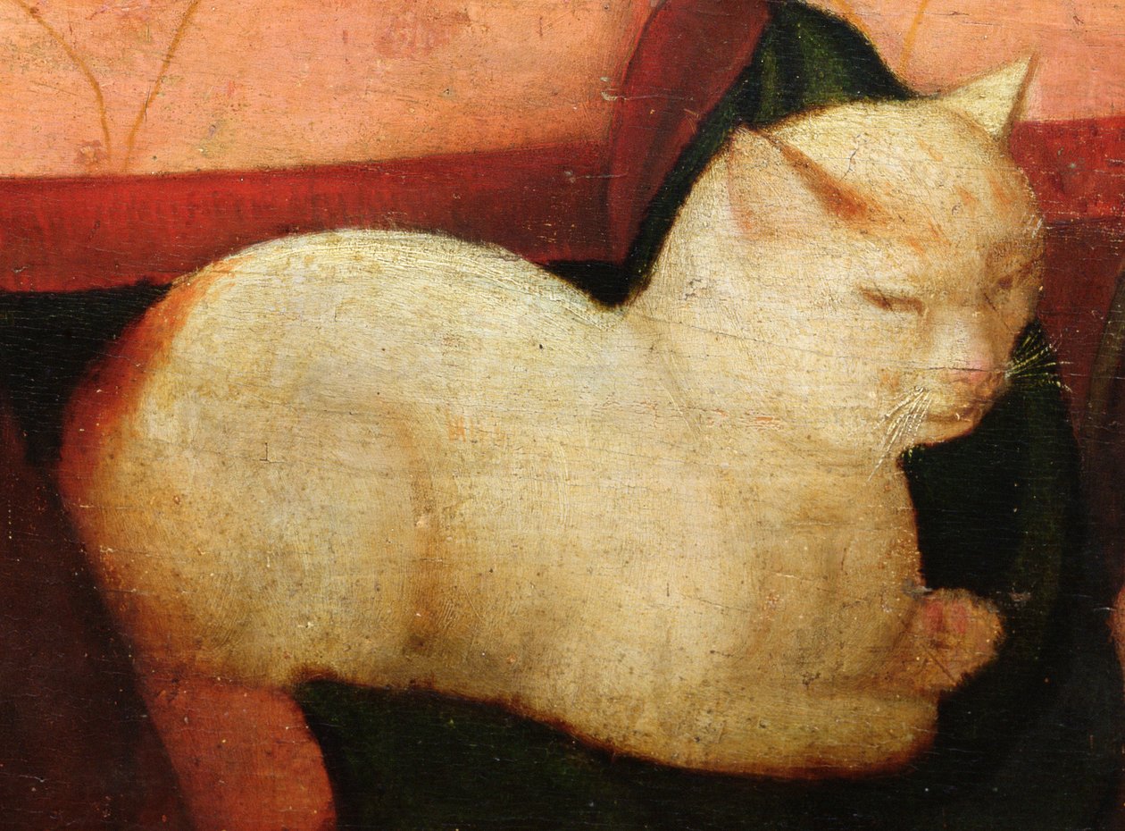 En hvit katt, detalj fra "Four People Laughing at the Sight of a Cat" (detalj av 221426) av Niccolo Frangipane