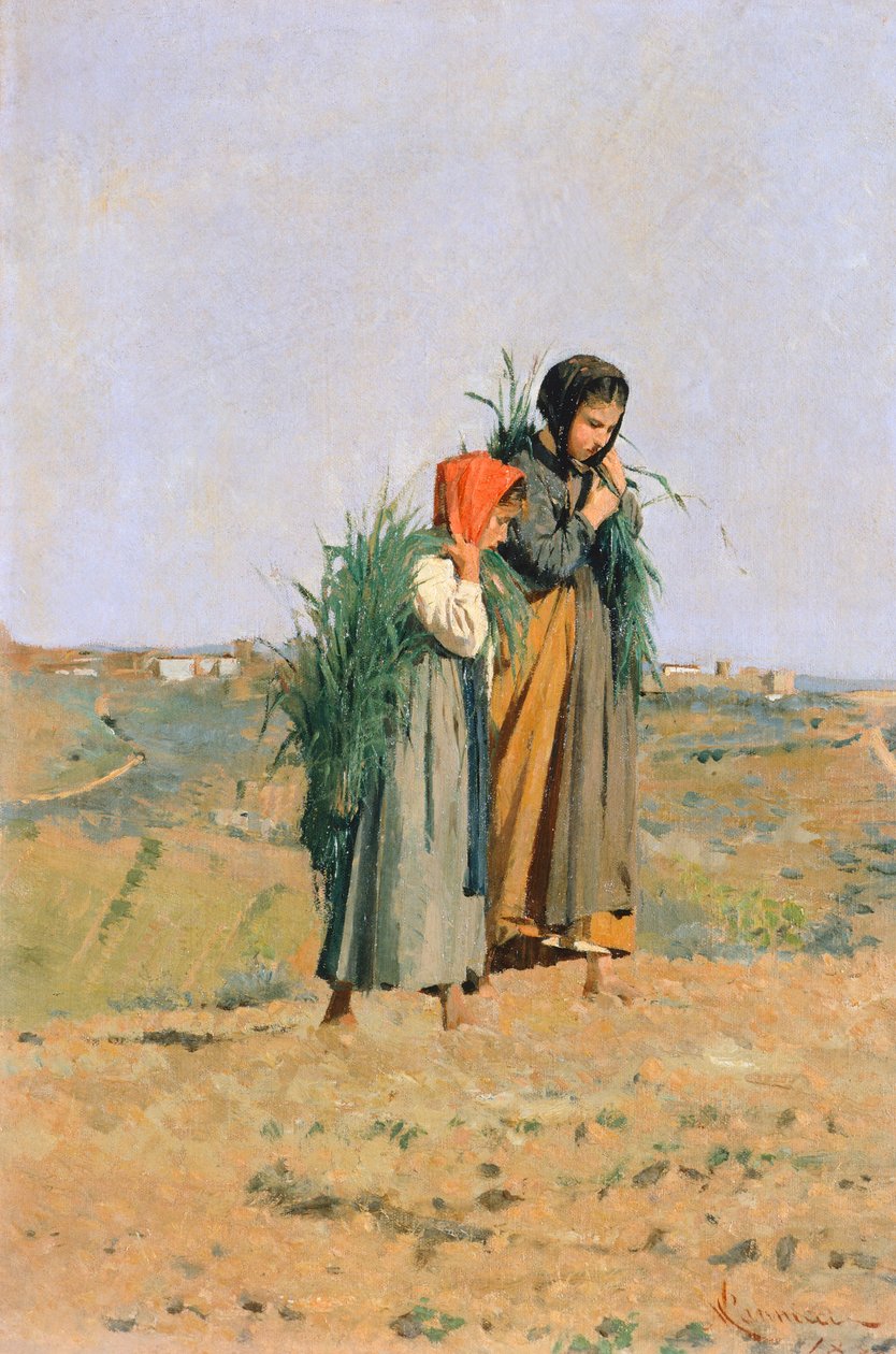 Erbaiole av Niccolo Cannicci