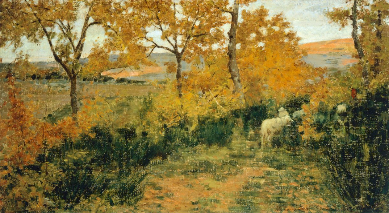 Golden Forest i Montemiccioli av Niccolo Cannicci