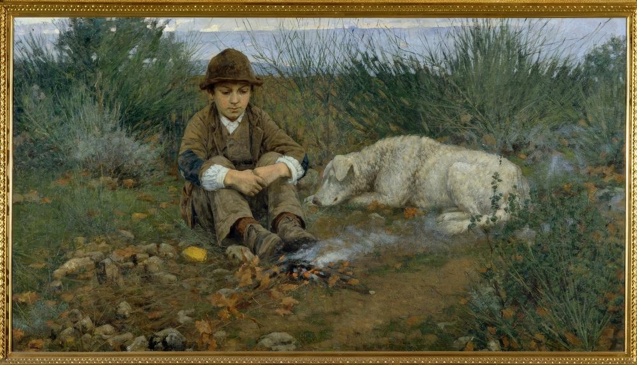I skogen av Niccolo Cannicci