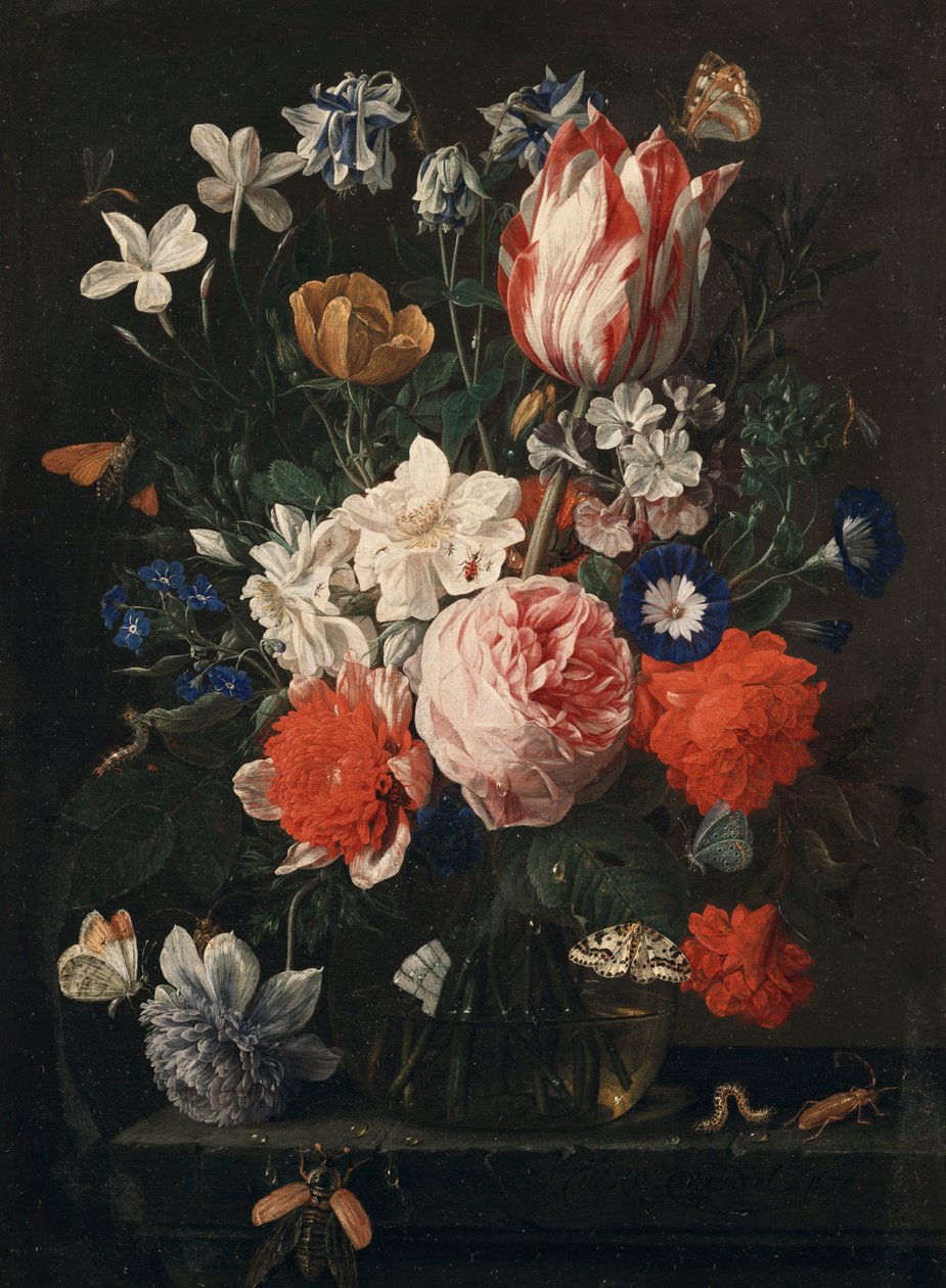 En rose, en tulipan, morgenfrue og andre blomster i en glassvase på en steinhylle, 1671 av Nicholaes van Verendael