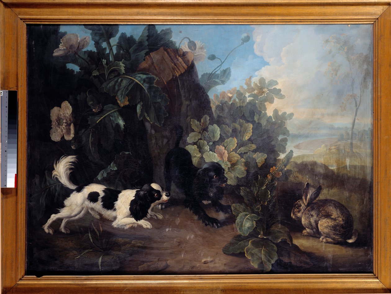 To hunder og en kanin-maleri av Nicolas Desportes dit le Nepheu (1718-1787) 1757 Søn. 0,97x1,3 m Paris, Musée du Louvre av Nicholas Desportes