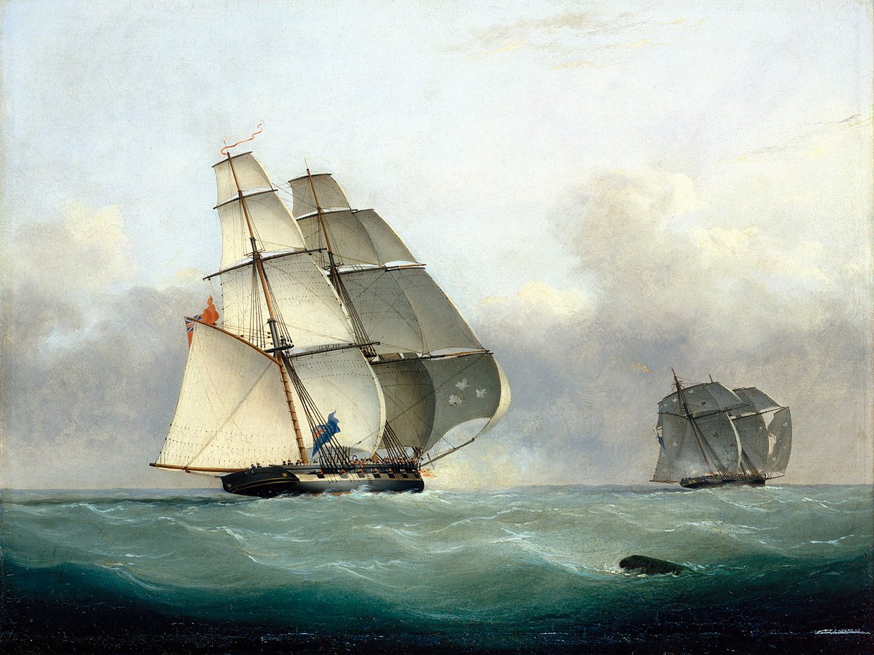 av Nicholas Matthews Condy