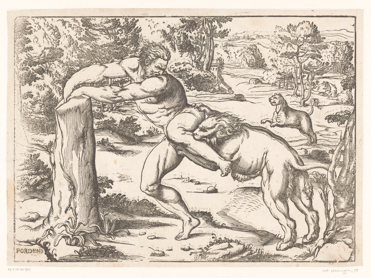 Milo av Croton angrepet av en løve av Nicolò Boldrini (attributed to)