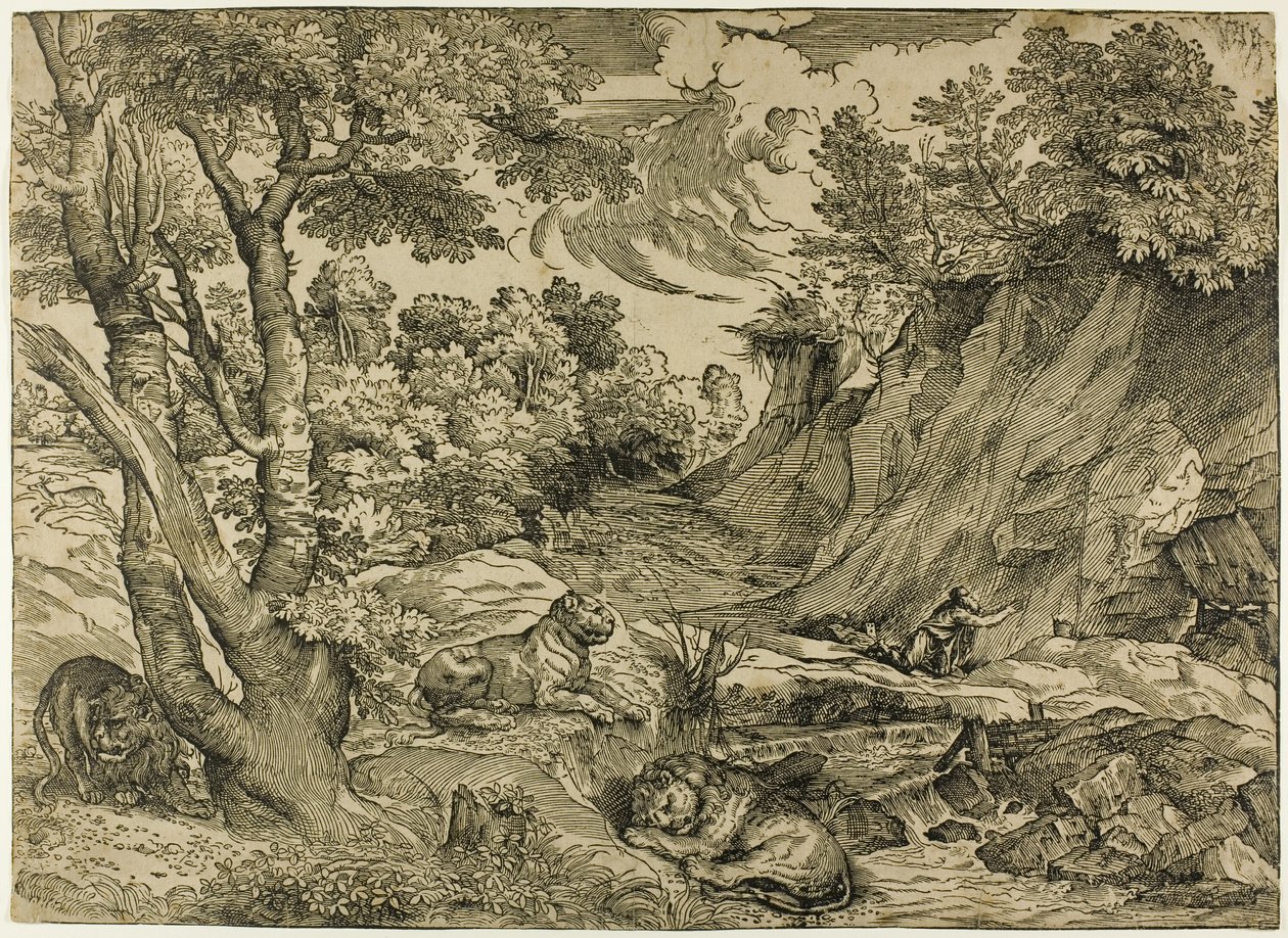 Saint Hieronymus i villmarken av Nicolò Boldrini