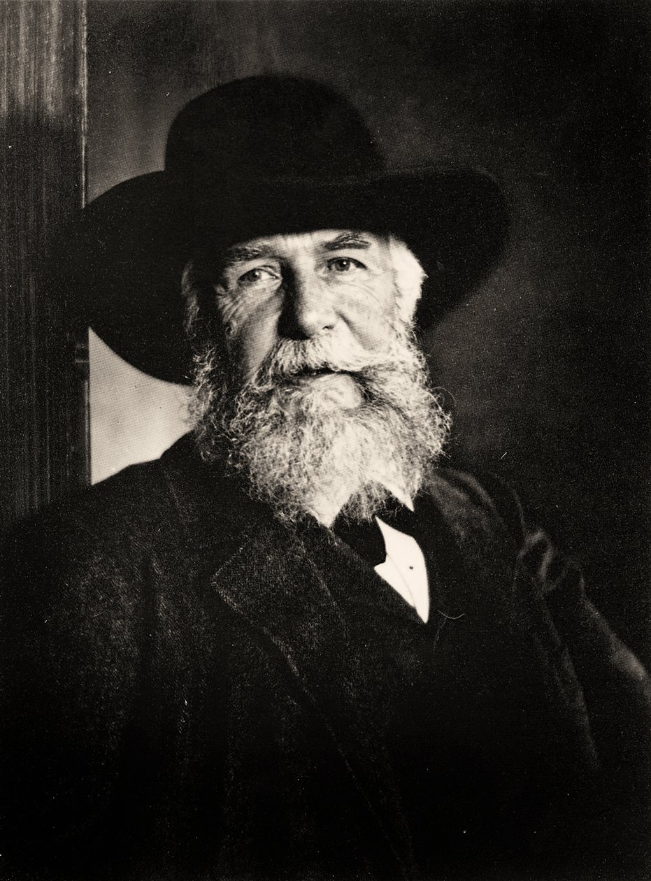Portrett av Ernst Haeckel, ca. 1910 (bilde) av Nicola Perscheid
