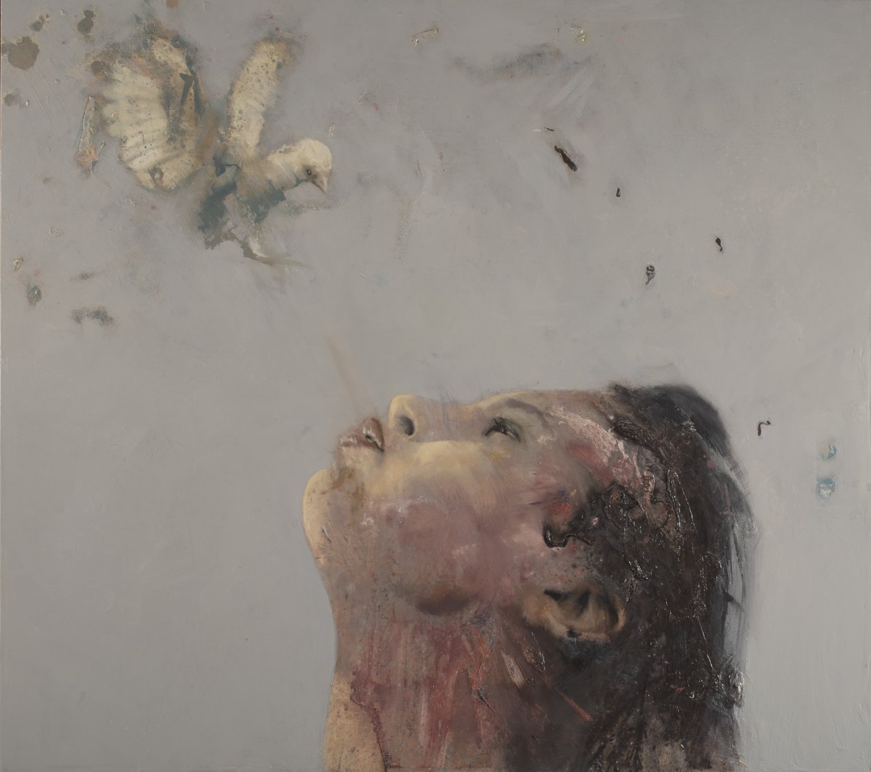  av Nicola Pucci