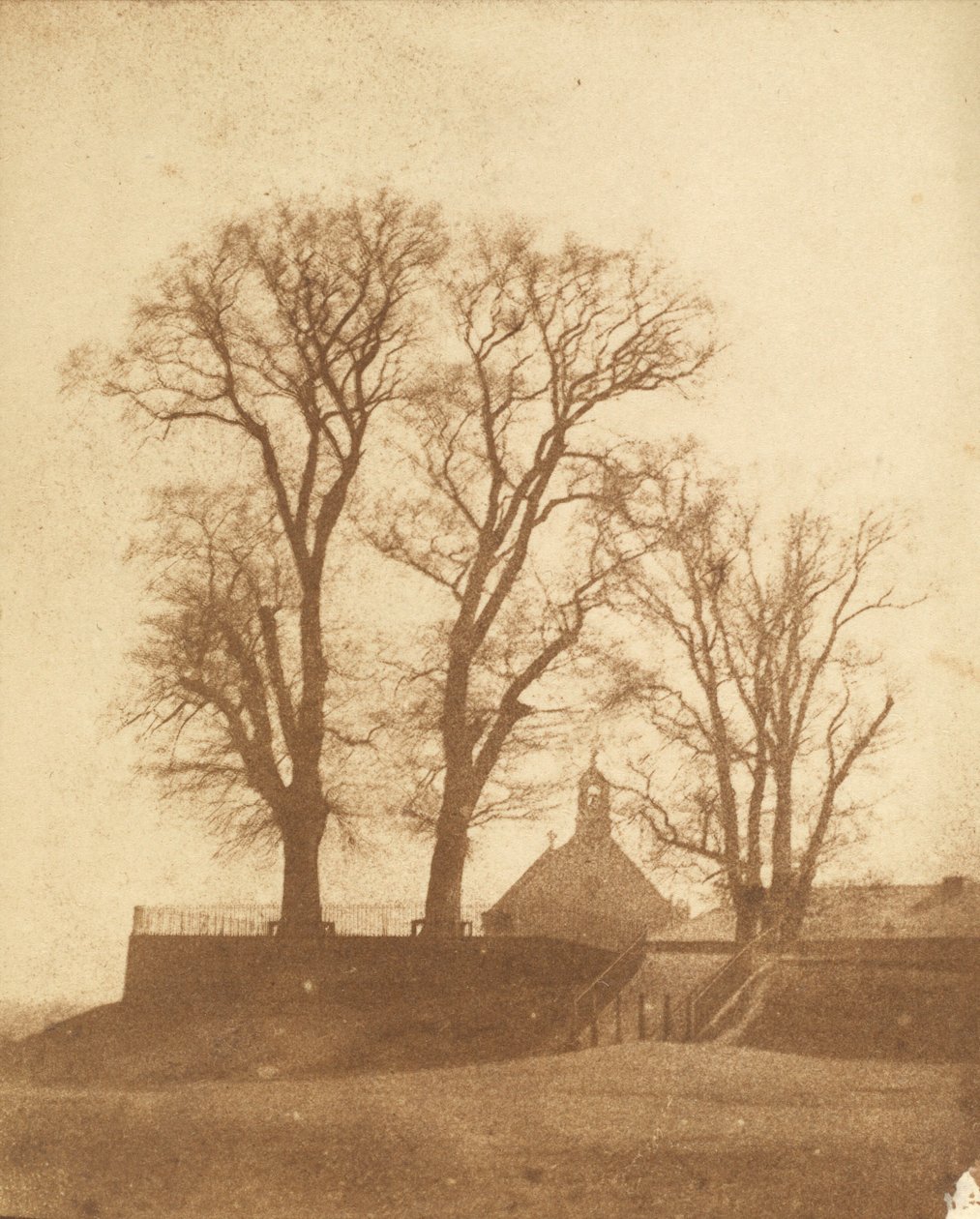  av Nicolaas Henneman