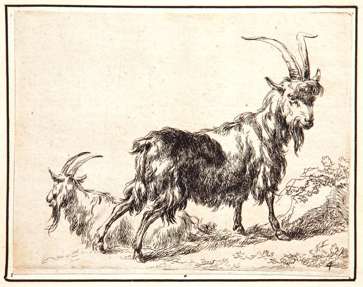 Geiter av Nicolaes Pietersz. Berchem