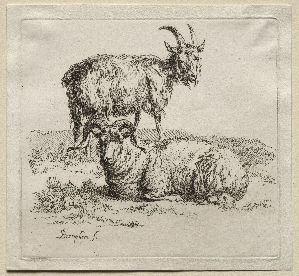 Animalia: Ram og geit av Nicolaes Berchem