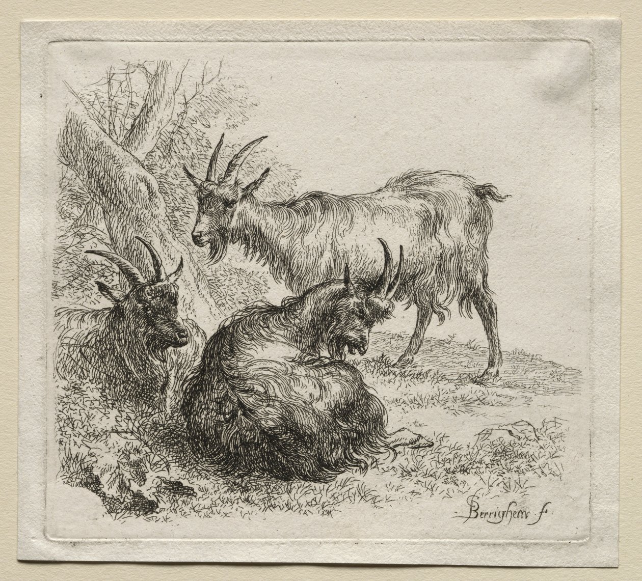 Animalia: Tre geiter av Nicolaes Berchem
