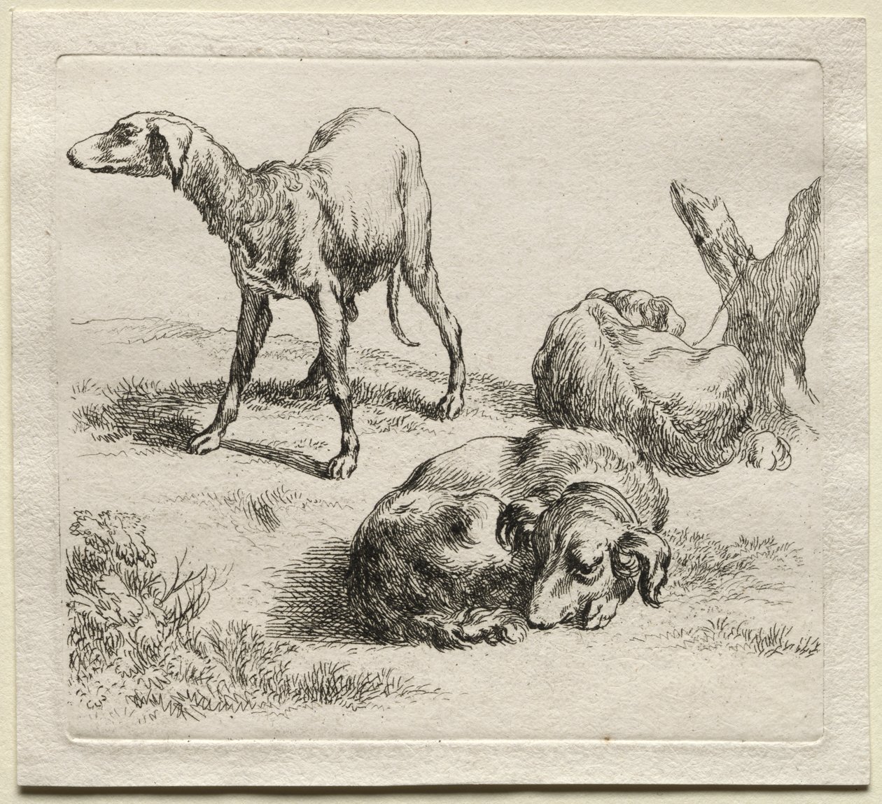 Animalia: Tre jakthunder av Nicolaes Berchem