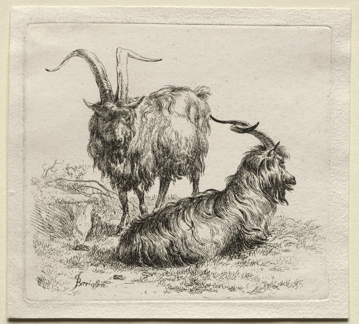 Animalia: To geiter av Nicolaes Berchem
