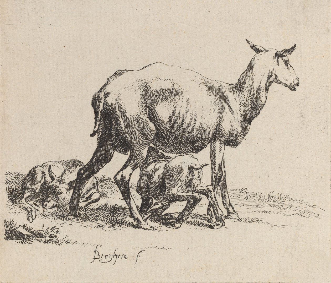 Ewe som ammer Lammet sitt. av Nicolaes Berchem