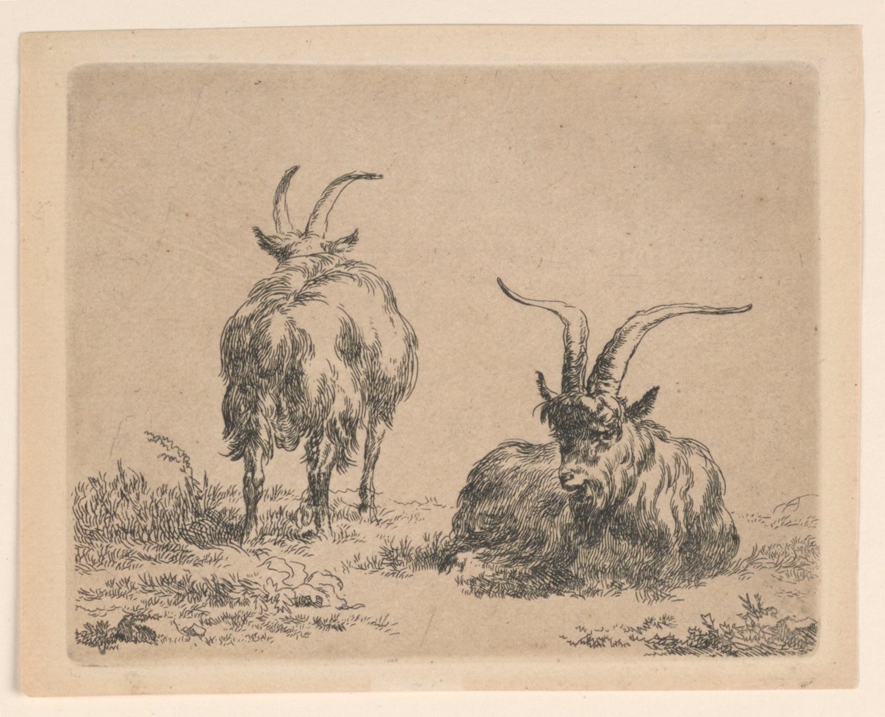 To geiter av Nicolaes Berchem