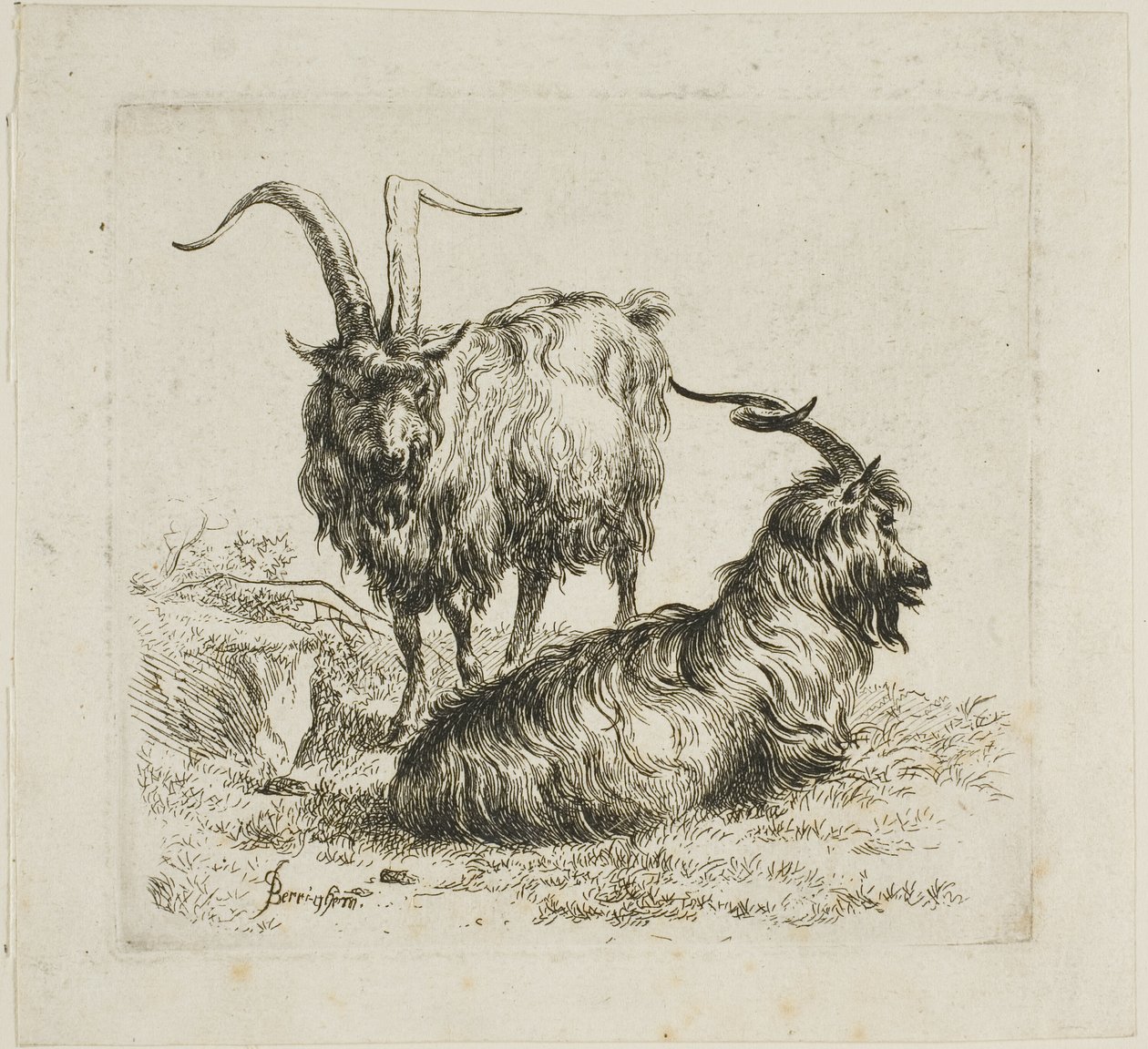 To geiter med store horn, fra forskjellige dyr av Nicolaes Berchem