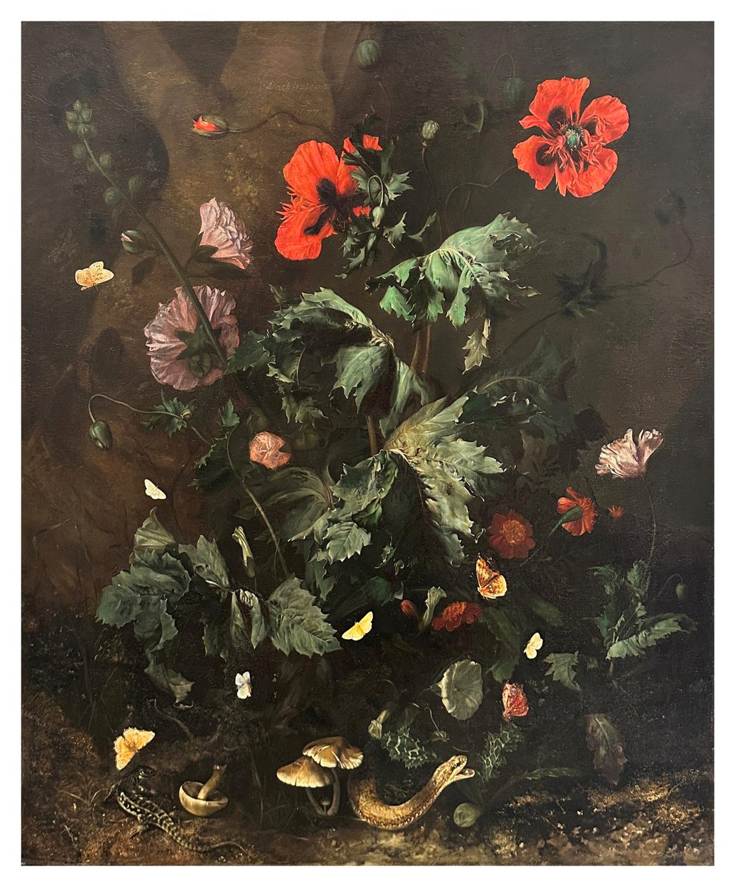 En skogbunn med blomster, sommerfugler og reptiler, ca. 1656–1700 (olje på lerret) av Nicolaes Lachtropius