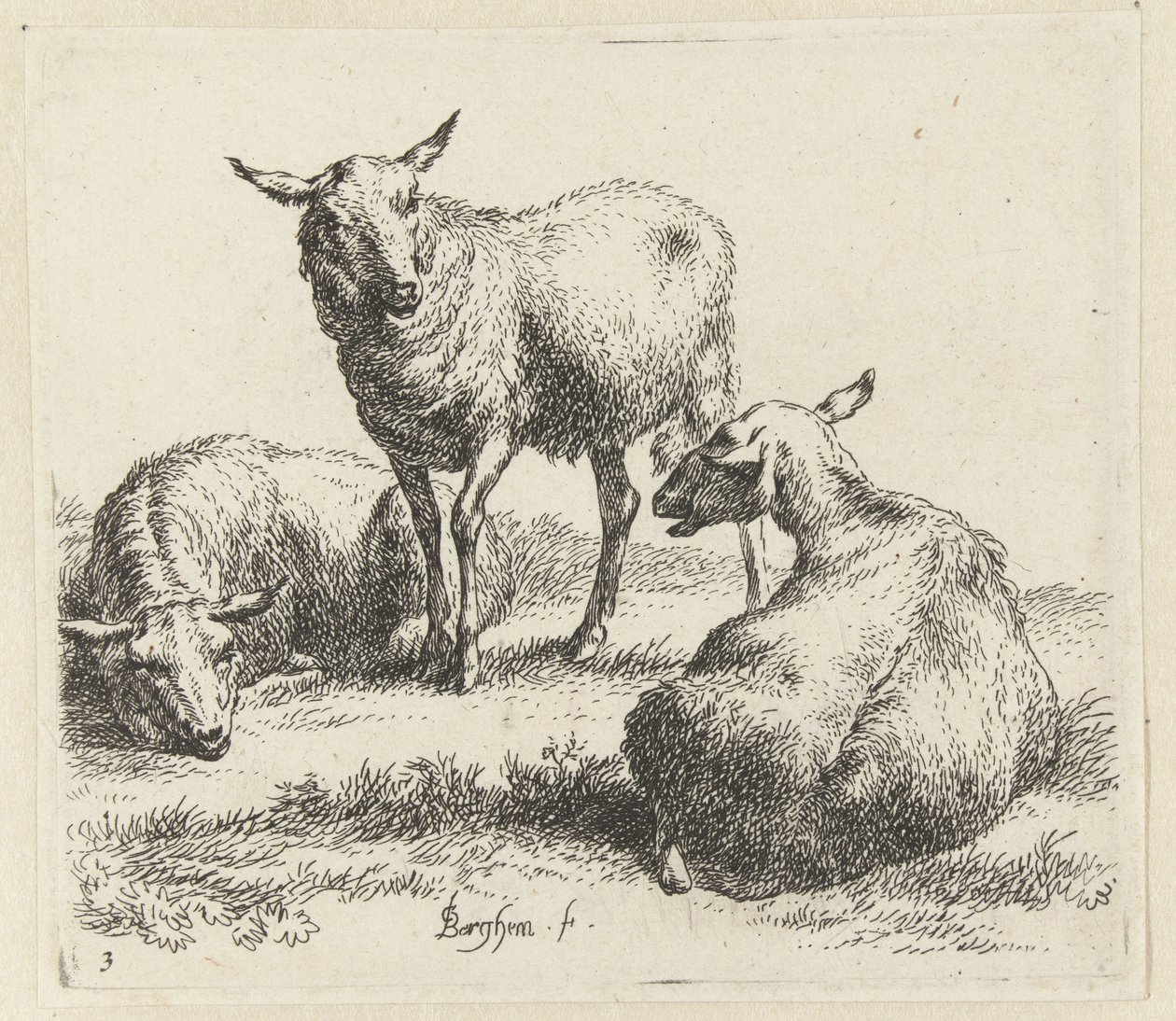 Tørk sauene Schapen (serietittel) Dyr trukket til livet og trykt i vann av sterk luft av Studio and Art of Nicolai Berchem (serietittel) av Nicolaes Pietersz Berchem