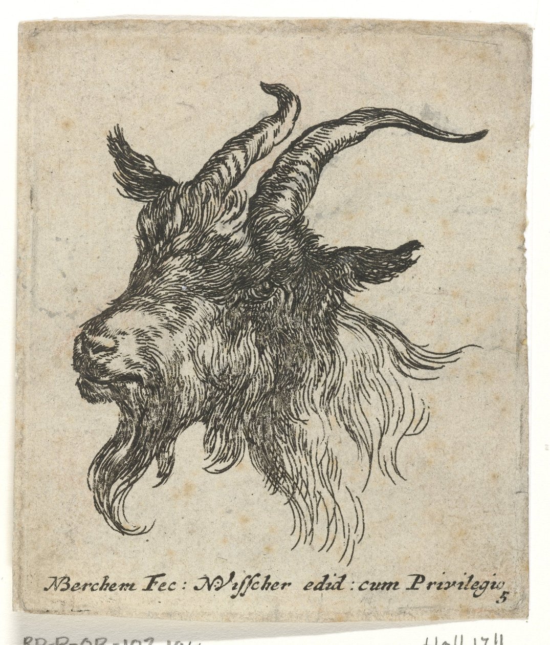 Hodet til en geit Dyr (serietittel) av Nicolaes Pietersz Berchem