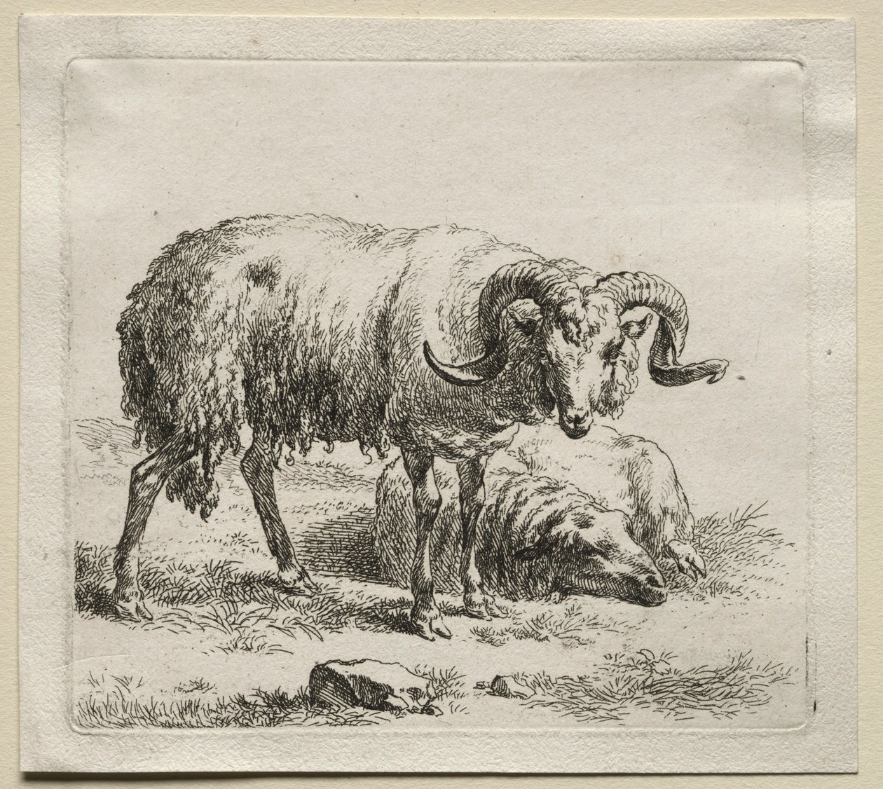 Vær og sau. av Nicolaes Pietersz. Berchem