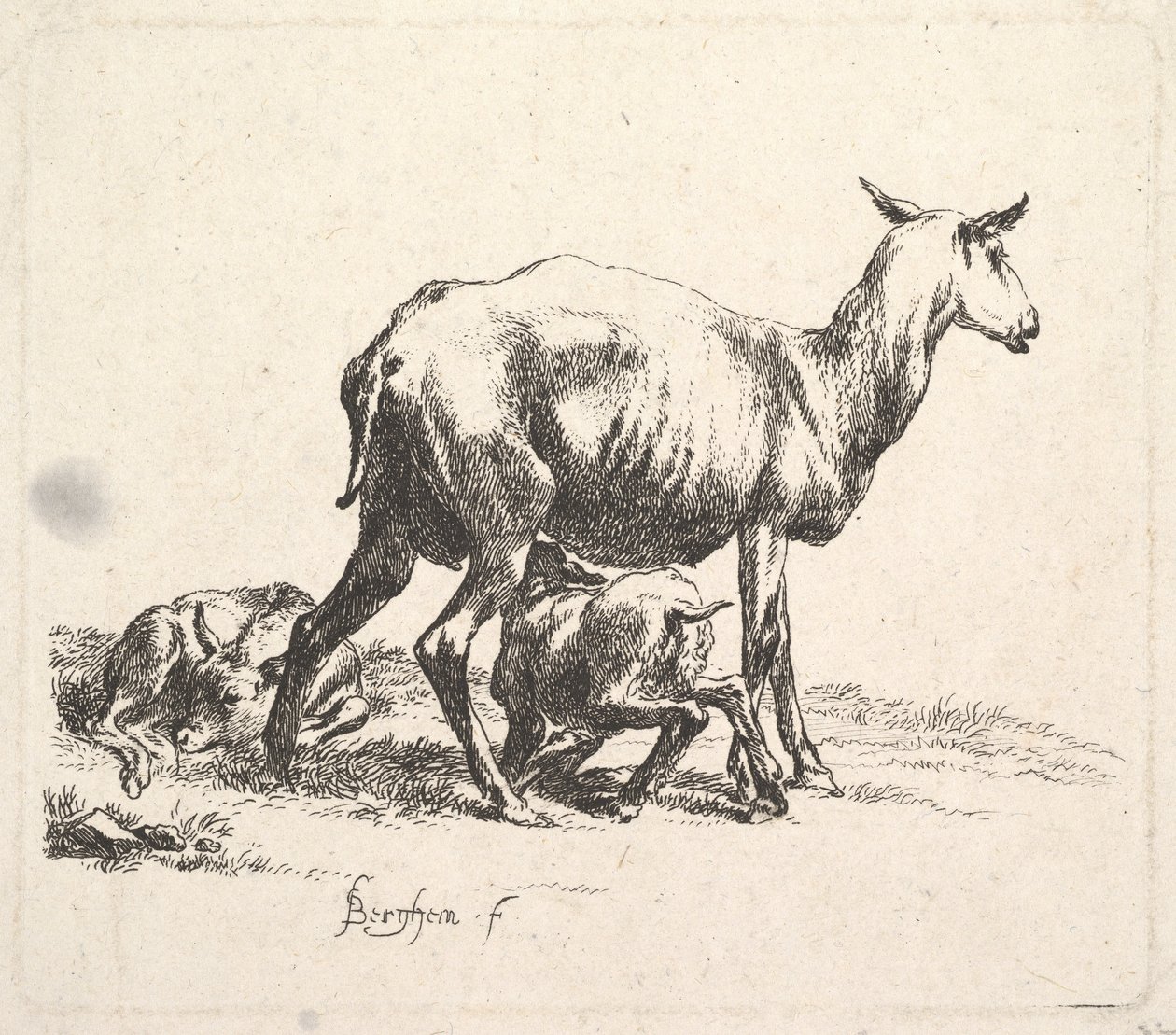 Sau med Lammepleie. av Nicolaes Pietersz. Berchem