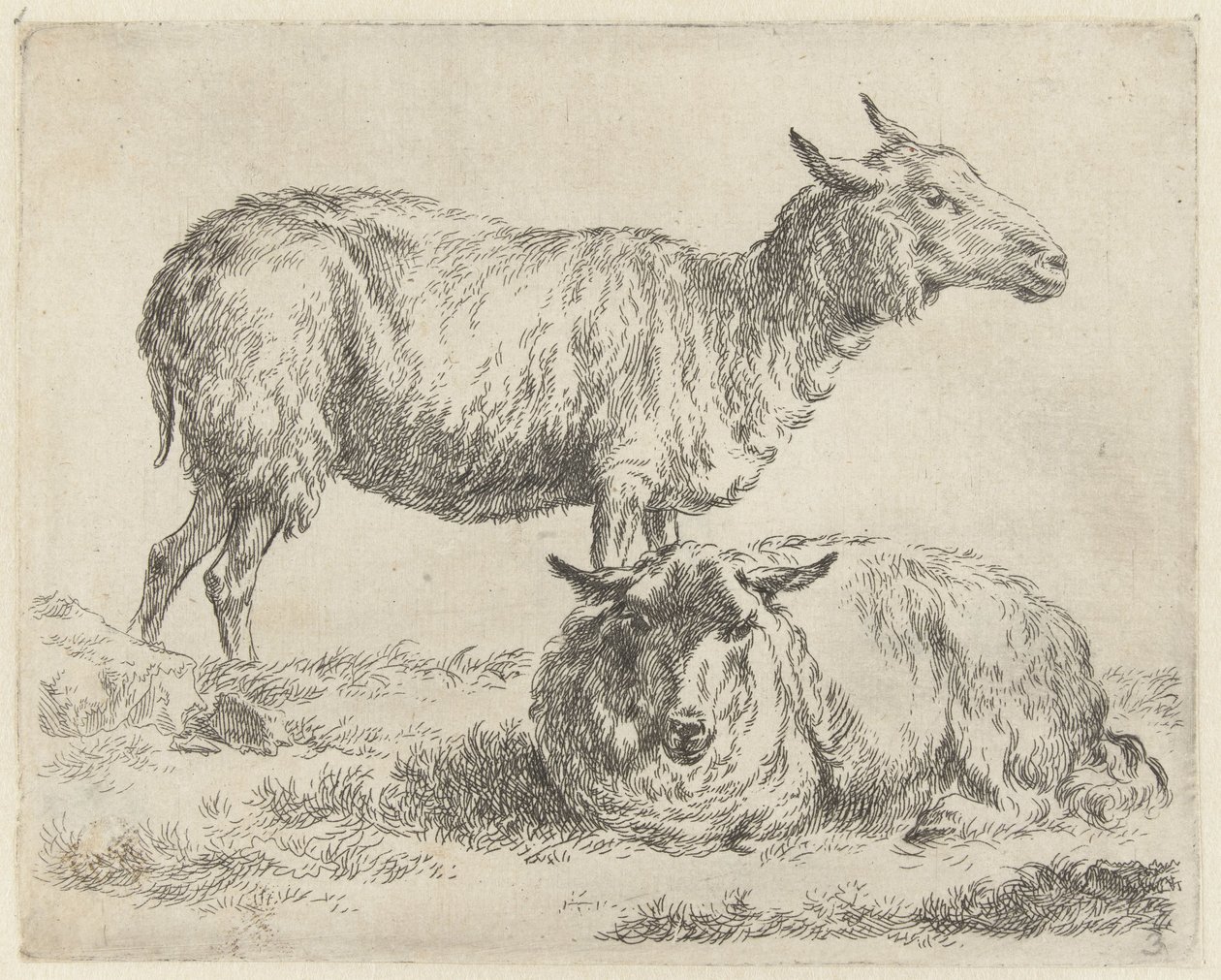 Staand en liggend schaap Schapen (serietittel) Dyr trukket til livet og trykt med sterkt vann i Nicolai Berchems studio og kunst (serietittel) av Nicolaes Pietersz Berchem