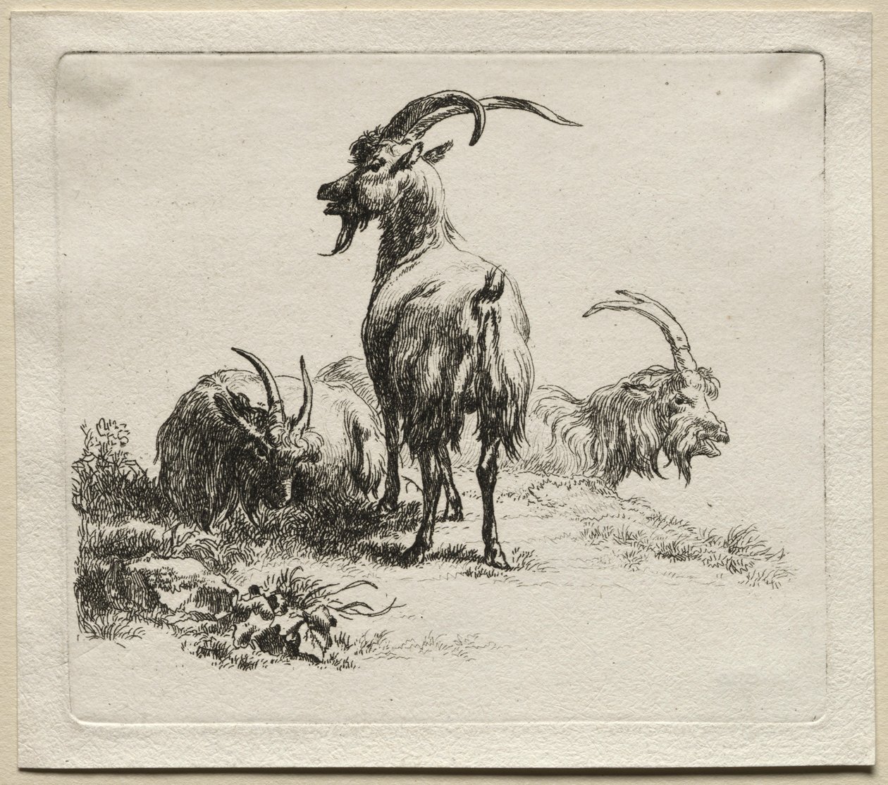 Tre geiter. av Nicolaes Pietersz. Berchem